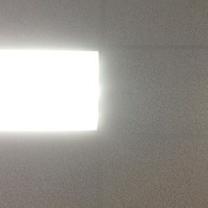 Meet your Posher, Thuy